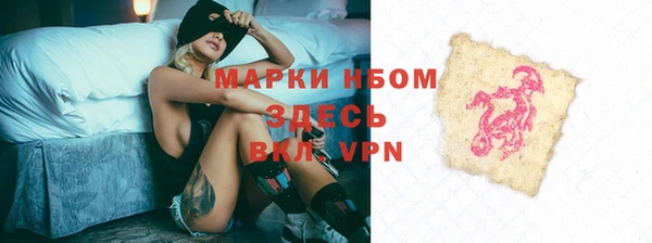 прущие грибы Алексин