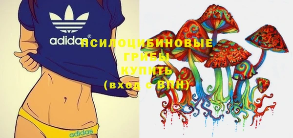 a pvp Абинск