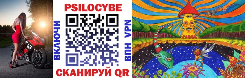 Псилоцибиновые грибы Psilocybe Новоаннинский